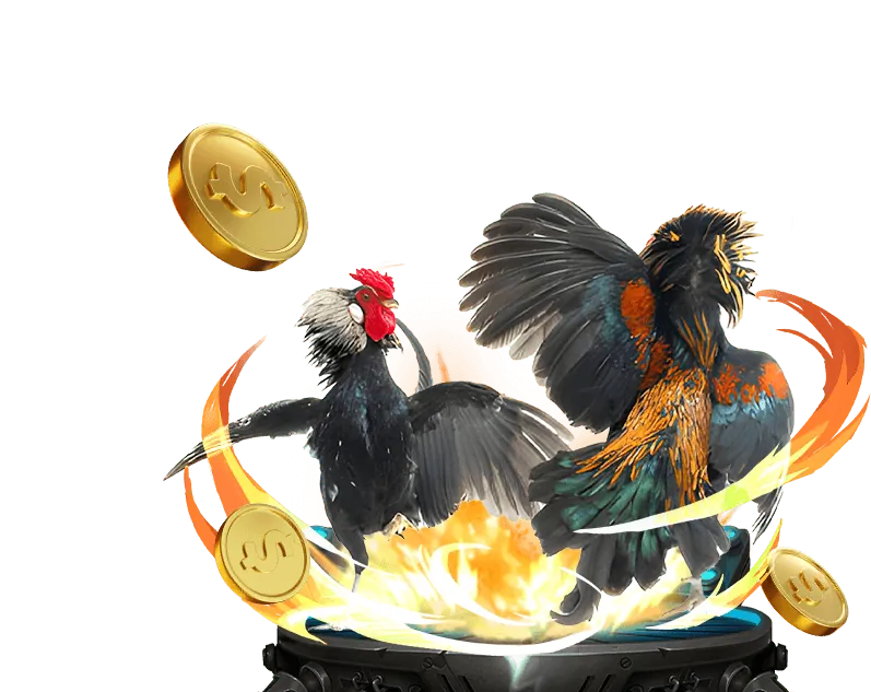 Các chương trình khuyến mãi và tiền thưởng hấp dẫn cho người chơi mới 2026